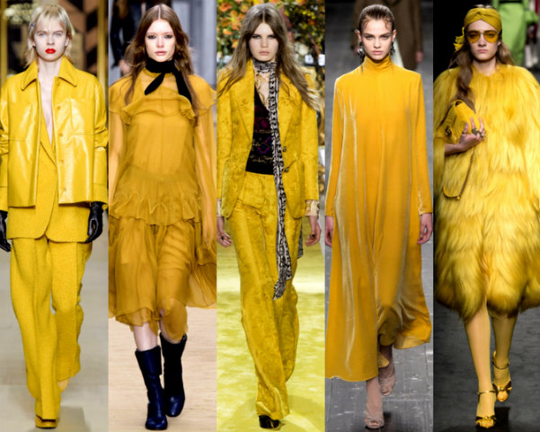Image result for Spicy Mustard   fashion