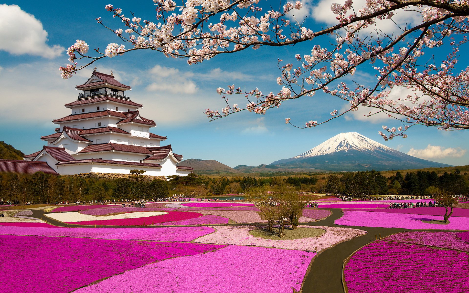 Viaje a Japón: cerezos en flor, el Monte Fuji y los baños 