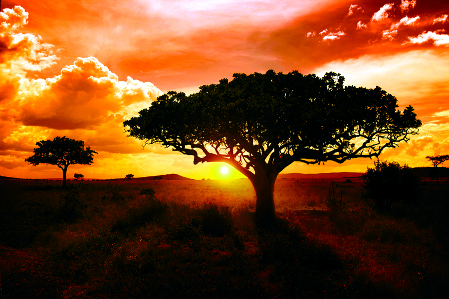 puesta de sol_Kenia_ok-OK