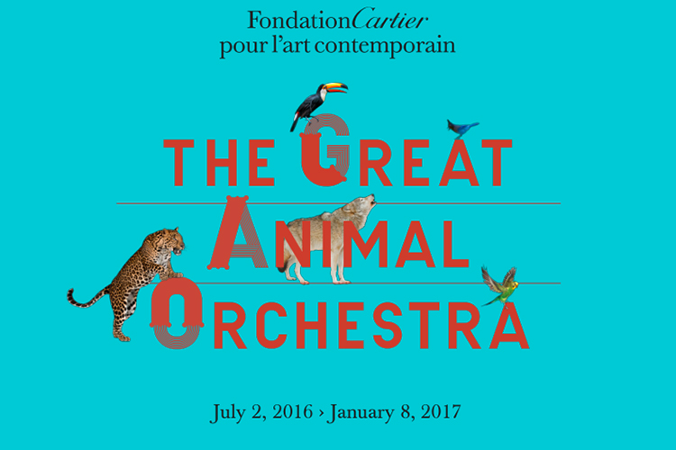 grand-animal-orchestra