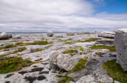 The-Burren-landscape-magazinehorse.jpg