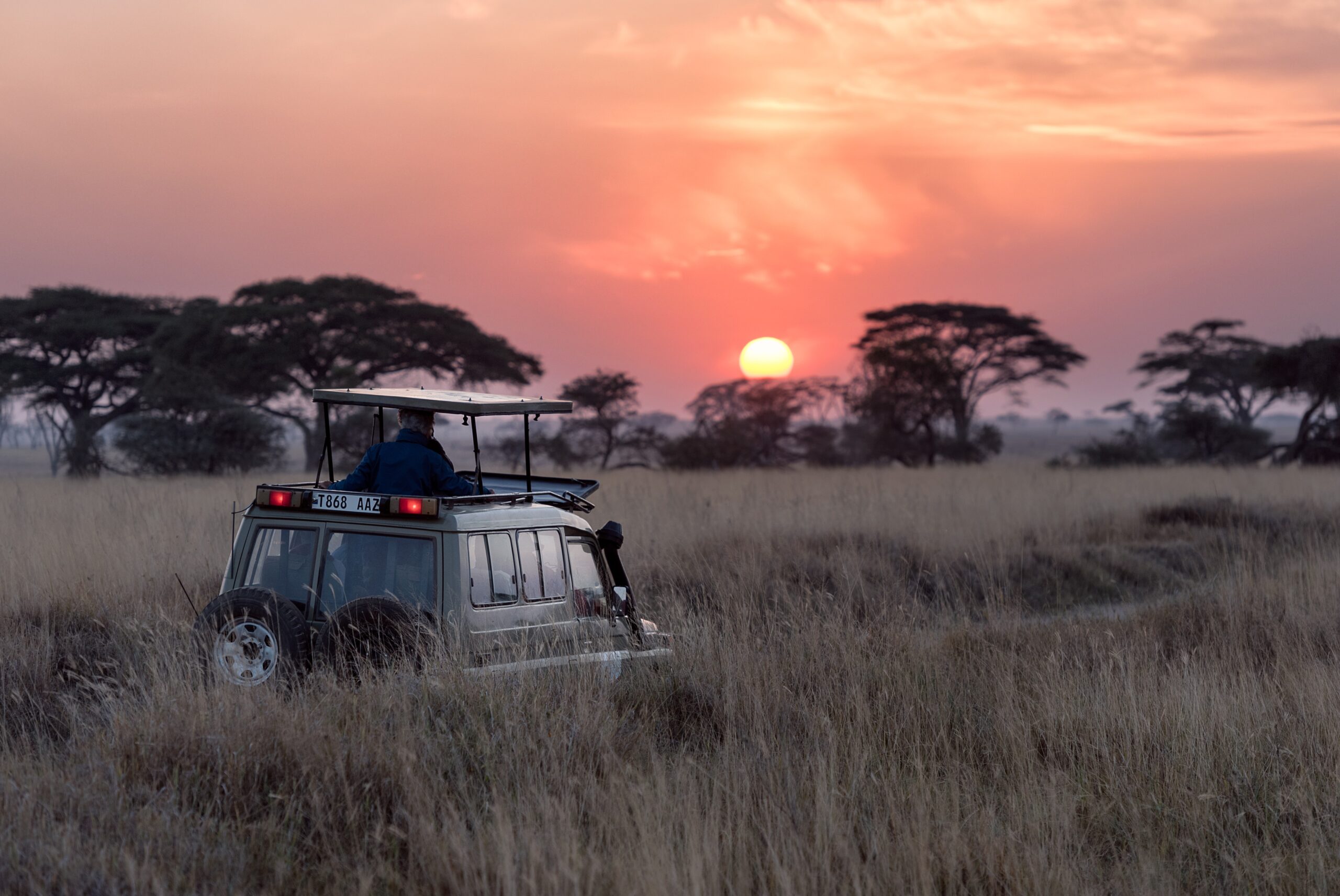 Luxury Safari Africa - MagazineHorse